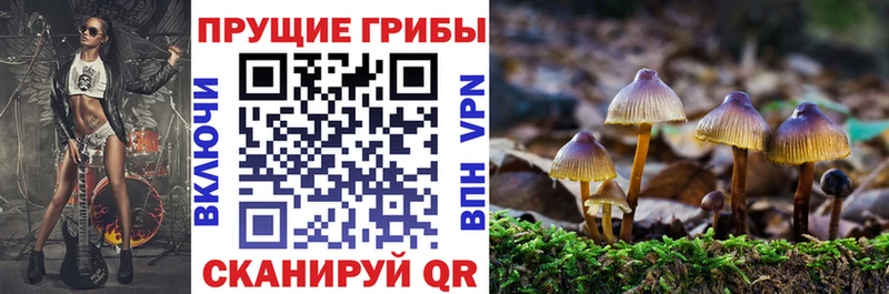 купить закладку  Тында  Галлюциногенные грибы ЛСД 